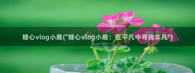 糖心 vlog:糖心vlog小鹿(\