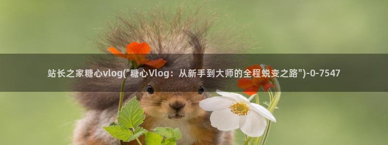 都源于糖心vlog:站长之家糖心vlog