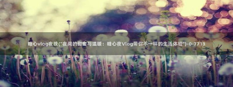 糖心vlog会员购买:糖心vlog夜晚(
