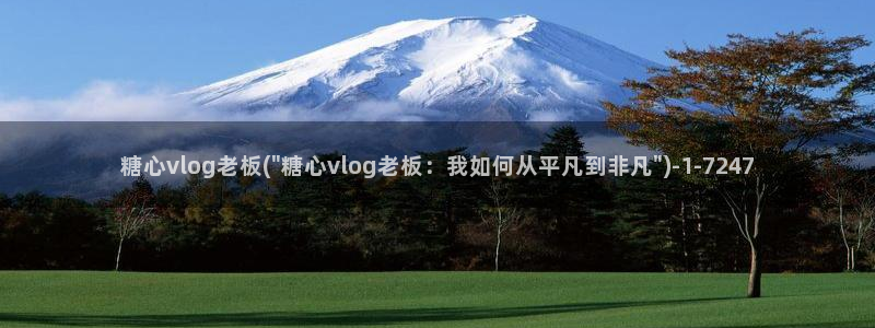 糖心vlog 黄:糖心vlog老板(\