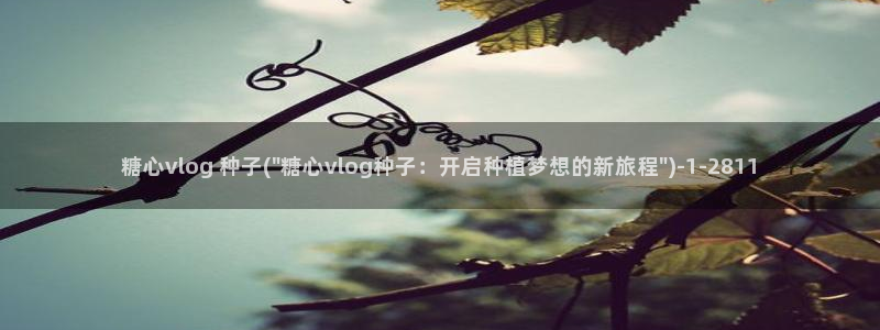 糖心vlog排行:糖心vlog 种子(\